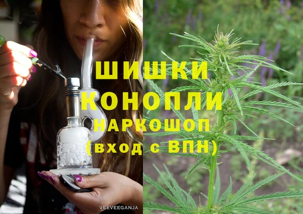 дурь Лиски
