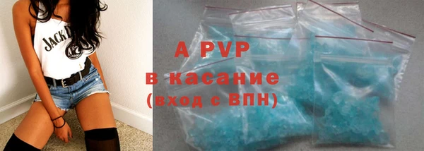 индика Майский