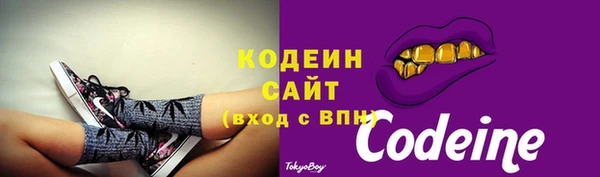 индика Майский