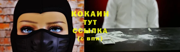 твердый Магас