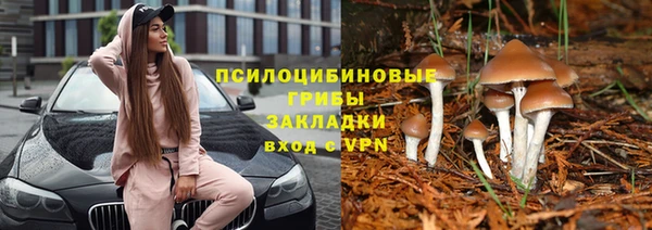 дурь Лиски