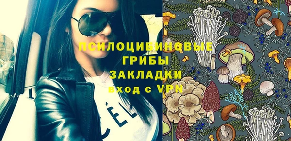 гашик Оленегорск