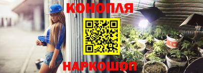 шишки Бийск