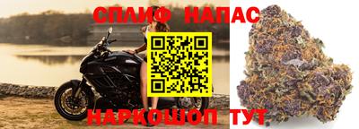 сатива Беслан