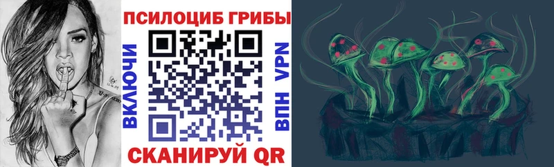 что такое МЕГА tor Псилоцибиновые грибы мухоморы Бийск