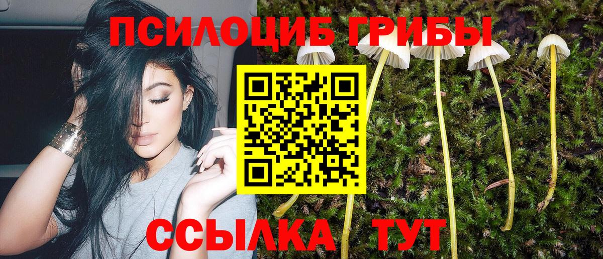 Галлюциногенные грибы мицелий Бийск